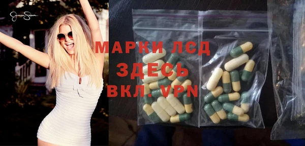 сатива Беломорск