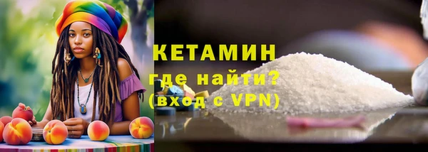сатива Беломорск
