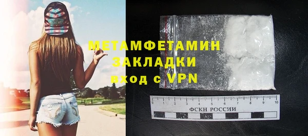 сатива Беломорск