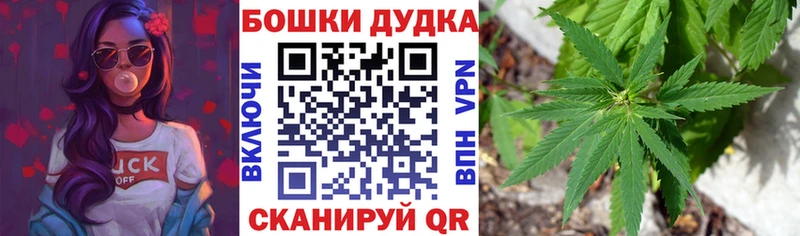 где купить наркотик  Ленск  Каннабис AK-47 